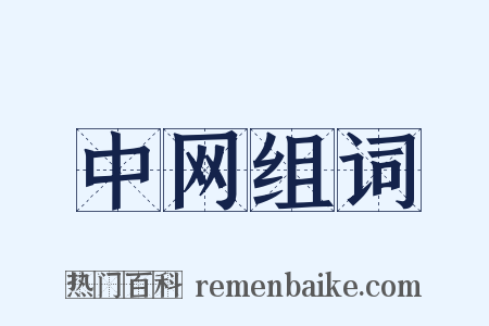 中网组词是什么意思的图片
